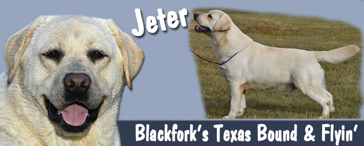 Blackfork's Texas Bound & Flyin'