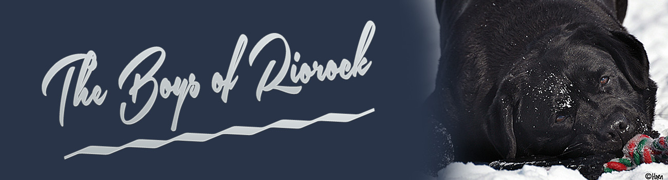 Riorock Labrador Retrievers Breeders New England New Hampshire East Coast area, Northeast Formerly  Colorado Black Chocolate Yellow Labs NH New Hampshire, CT, PA Pennsylvania Connecticut  Rhode Island RI VT Vermont MA Massachusetts New York NY ME Maine Puppies For Sale, Labradors, Labrador RetrieverNH lab Breeder
NH lab breeders
Lab breeders in NH
New Hampshire lab Breeders
Lab breeders in New Hampshire
Yellow lab puppies for sale
Yellow labrador retriever puppies
yellow labrador breeders in New hampshire
Black lab puppies for sale
Black labrador retriever puppies
black labrador breeders in New hampshire
Delaware Labradors
Delaware labrador retrievers


Fox red labrador breeders in New hampshire