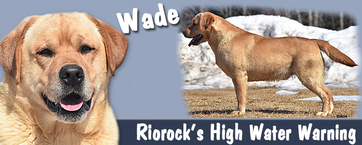 Riorock's High Water Warning